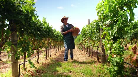 granjero caminando y sosteniendo una canasta de frutas y verduras