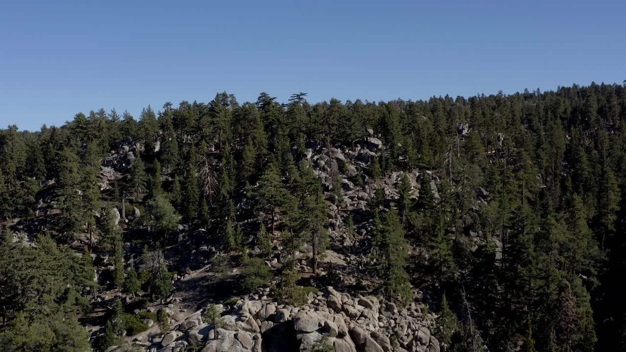 una hermosa toma aérea volando sobre el bosque de big bear revelando las montañas, condado de san bernardino, california