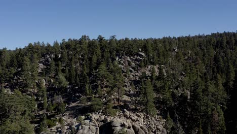 a beautiful aerial shot flying over the forest of big bear revealing the mountains, san bernardino county, california