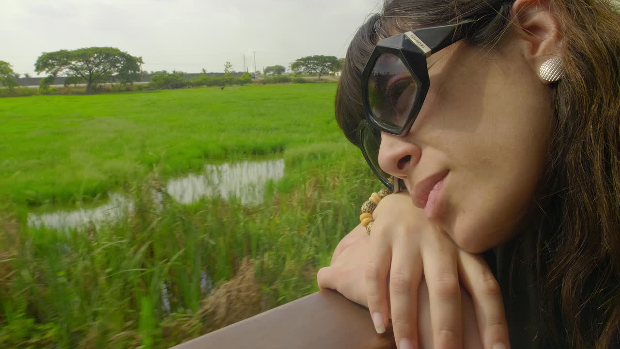 기차에서 본 남아메리카의 논