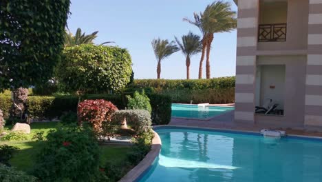 Palm-Tree-leaves-and-pool-water-surface-Beautiful-summer-tropical-background-Through-Palm-Leaves-on-Background.