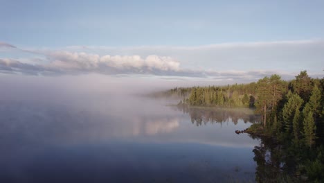 Morgennebel-über-Einem-Ruhigen-See,-Der-Den-Wald-In-Friedlicher-Natur-Widerspiegelt,-Drohnenstoß