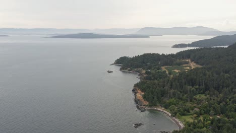 wide aerial tilt shot of the natural park in vancouver, canada