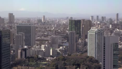 Hochhaus-Tokio-Mit-Mount-Fuji