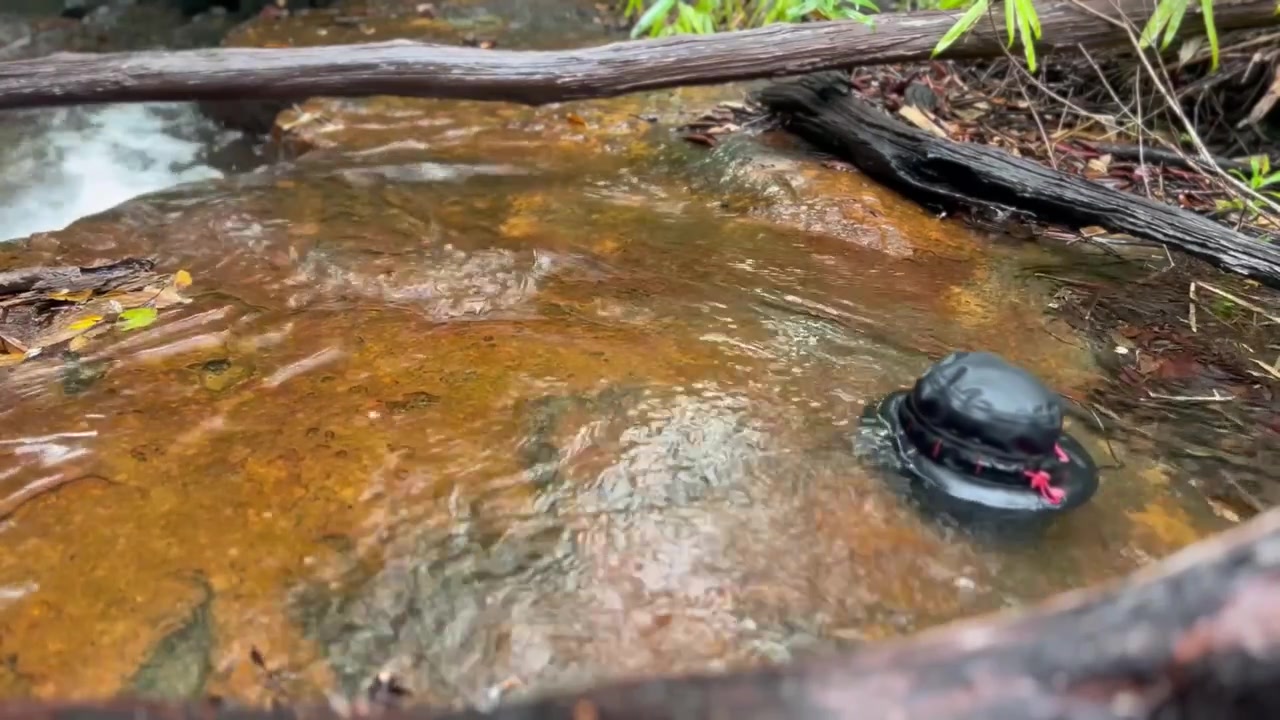 A floating hat follows the current and disappears downstream.