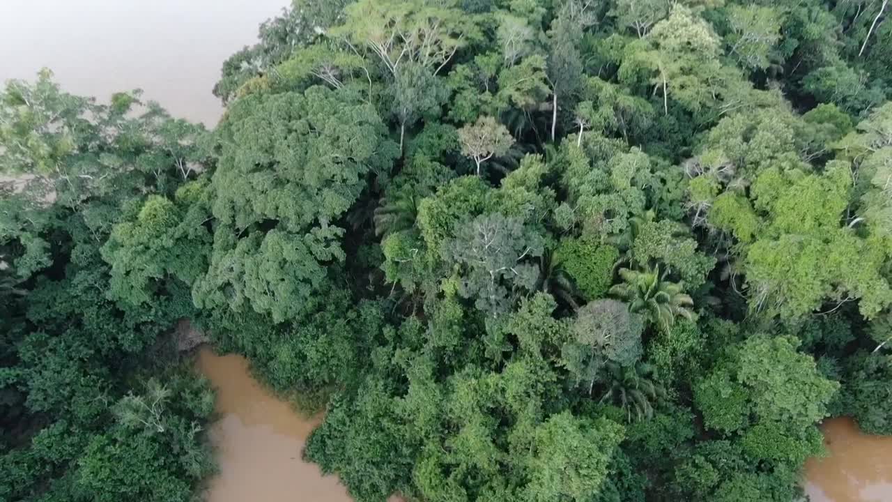 아마존 열대우림의 페루에서 드론의 공중 사진은 초록색 나무 숲과 구름이 많은 날 강을 가로지르는 것을 보여줍니다.
