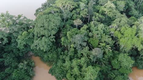 vista aérea de drones en perú en la selva amazónica que muestra un bosque de árboles verdes a su alrededor y un río que cruza en un día nublado