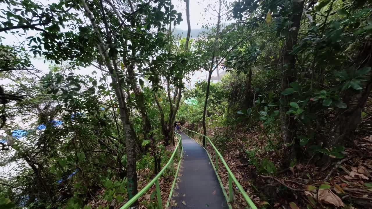 tilt up muestra altos y empinados escalones de madera que bajan por un acantilado hacia el famoso destino turístico tropical de la playa de madeiro en pipa, brasil, rodeada de follaje tropical en un cálido día de verano.