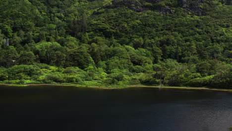 ireland landscape - beautiful scenic lake with lush tree background, aerial drone