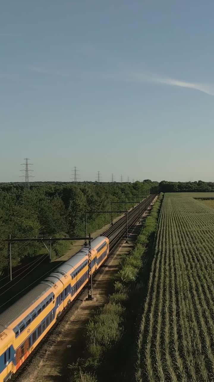 поезд, проходящий через кукурузное поле