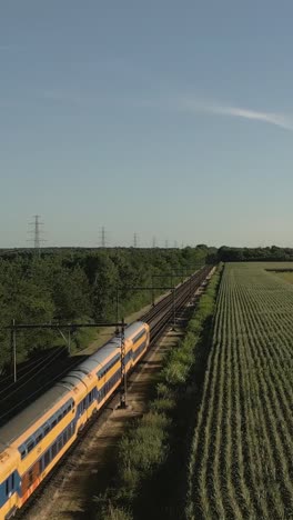 train passing through a cornfield