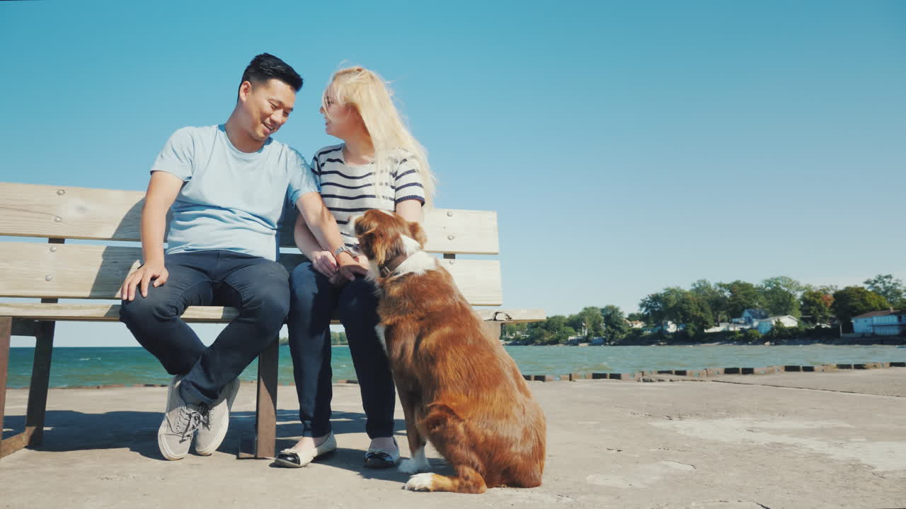 개와 놀고 있는 활동적인 젊은 부부는 당신의 애완동물 컨셉으로 바다 휴식처에 있는 벤치에 앉아 있습니다