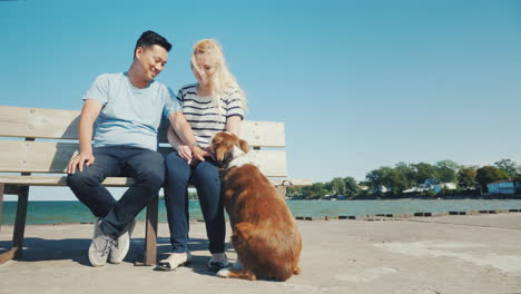 Joven-Pareja-Activa-Jugando-Con-Un-Perro-Sentado-En-Un-Banco-Contra-El-Mar-Descansa-Con-Su-Concepto-De-Mascota