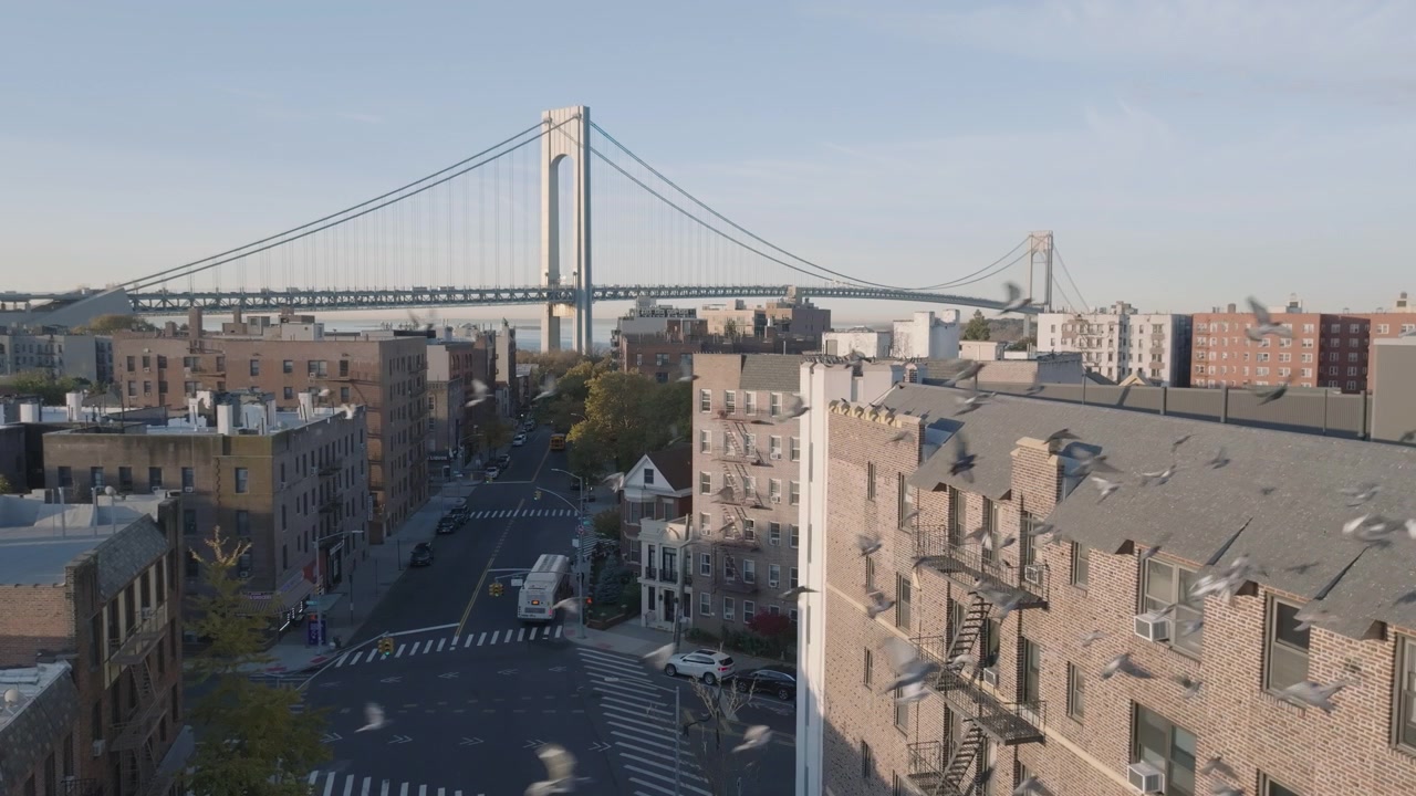 Vista aerea di Bay Ridge, Brooklyn all'alba. Ripresa a New York City con il Ponte di Verrazzano-Narrows sullo sfondo.