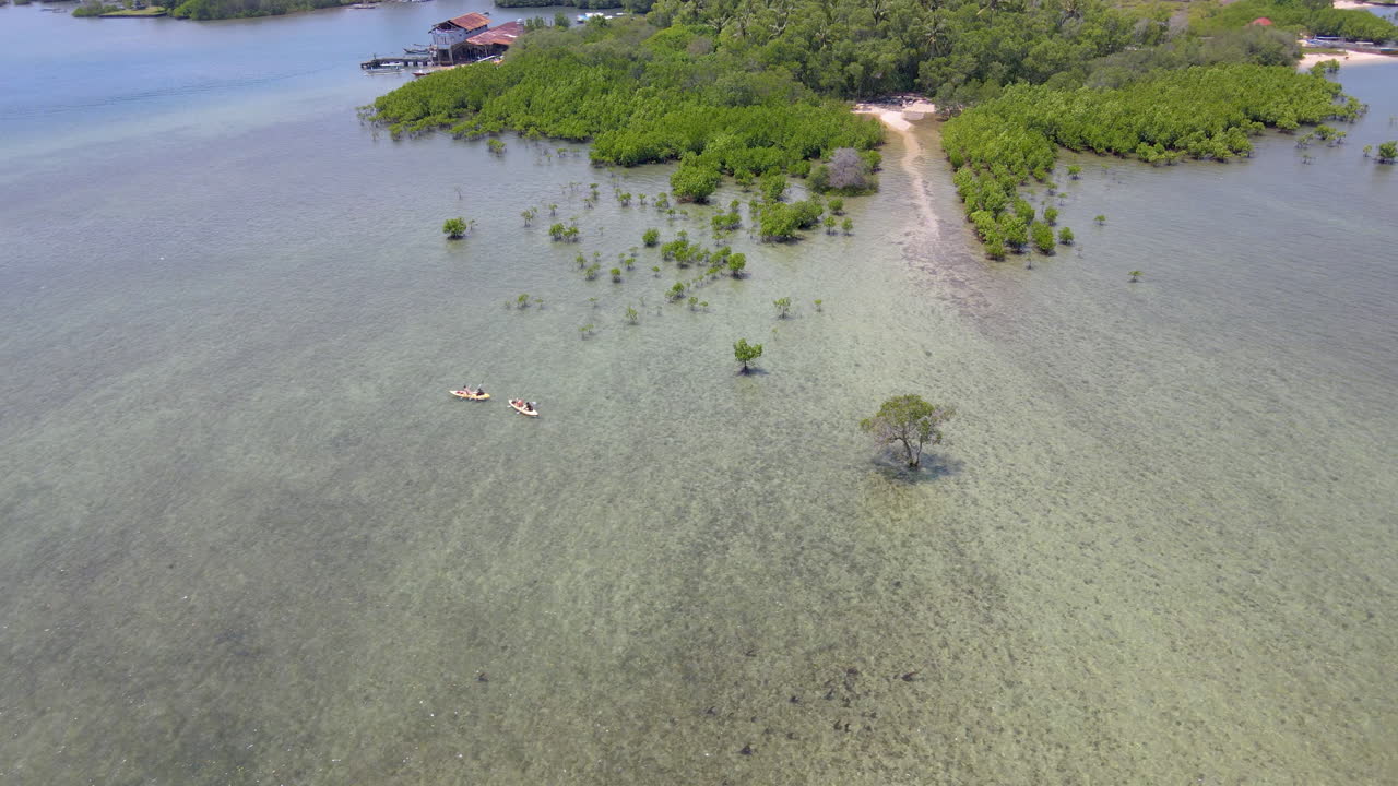 paisaje de turistas en kayak en el parque nacional de bali occidental en indonesia