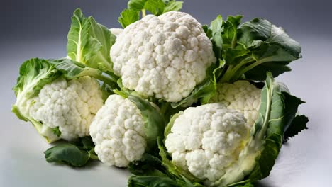 freshly harvested cauliflower bunch with vibrant green leaves