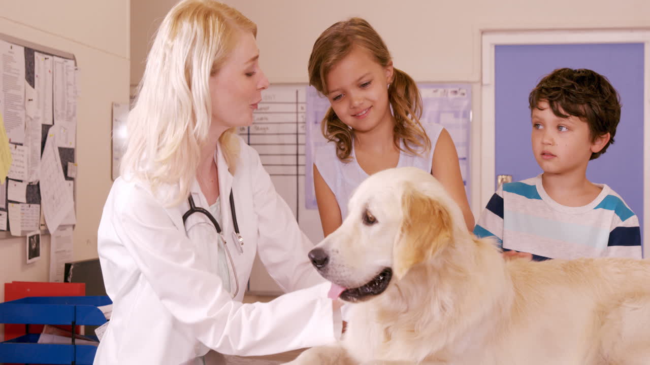 Vet and children stroking a dog