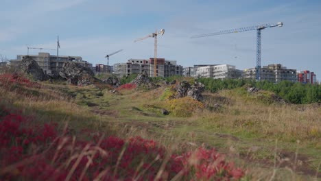 un nuevo vecindario se levanta en la brisa de otoño