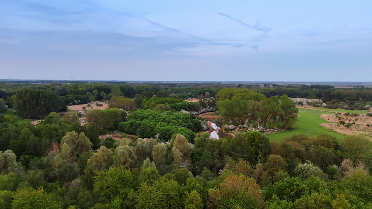 Dutch dusk with lush greenery. A stunning view of thriving greenery in the Netherlands during the evening hours, highlighting natures beauty