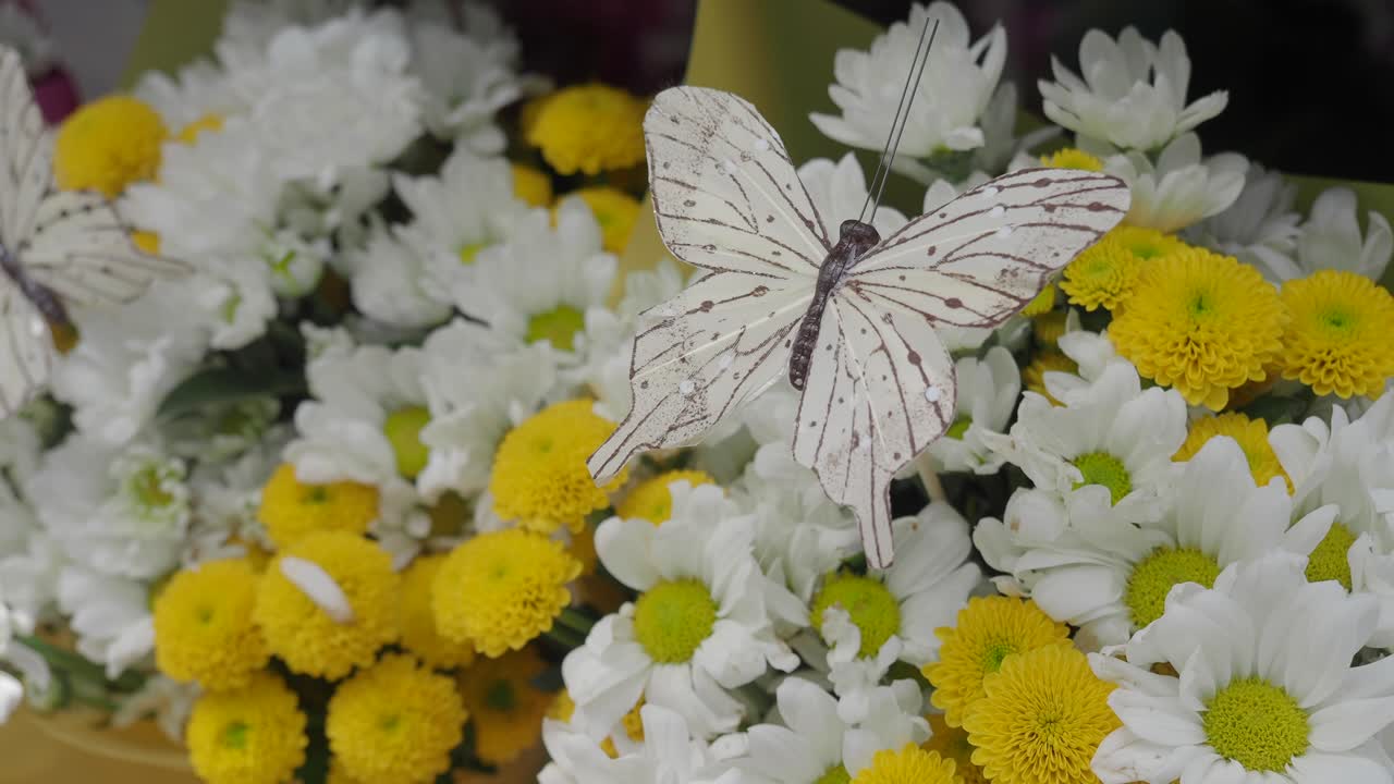 Bellissimo bouquet di crisantemi bianchi e gialli con farfalle decorative