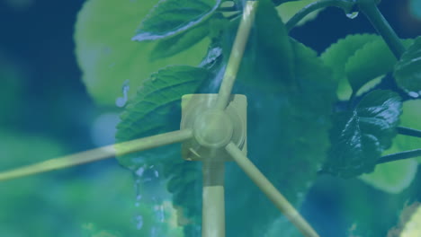 환경과 복지