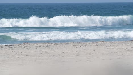 grandes olas azules del océano se estrellan en la playa, costa del pacífico de california, ee.uu.