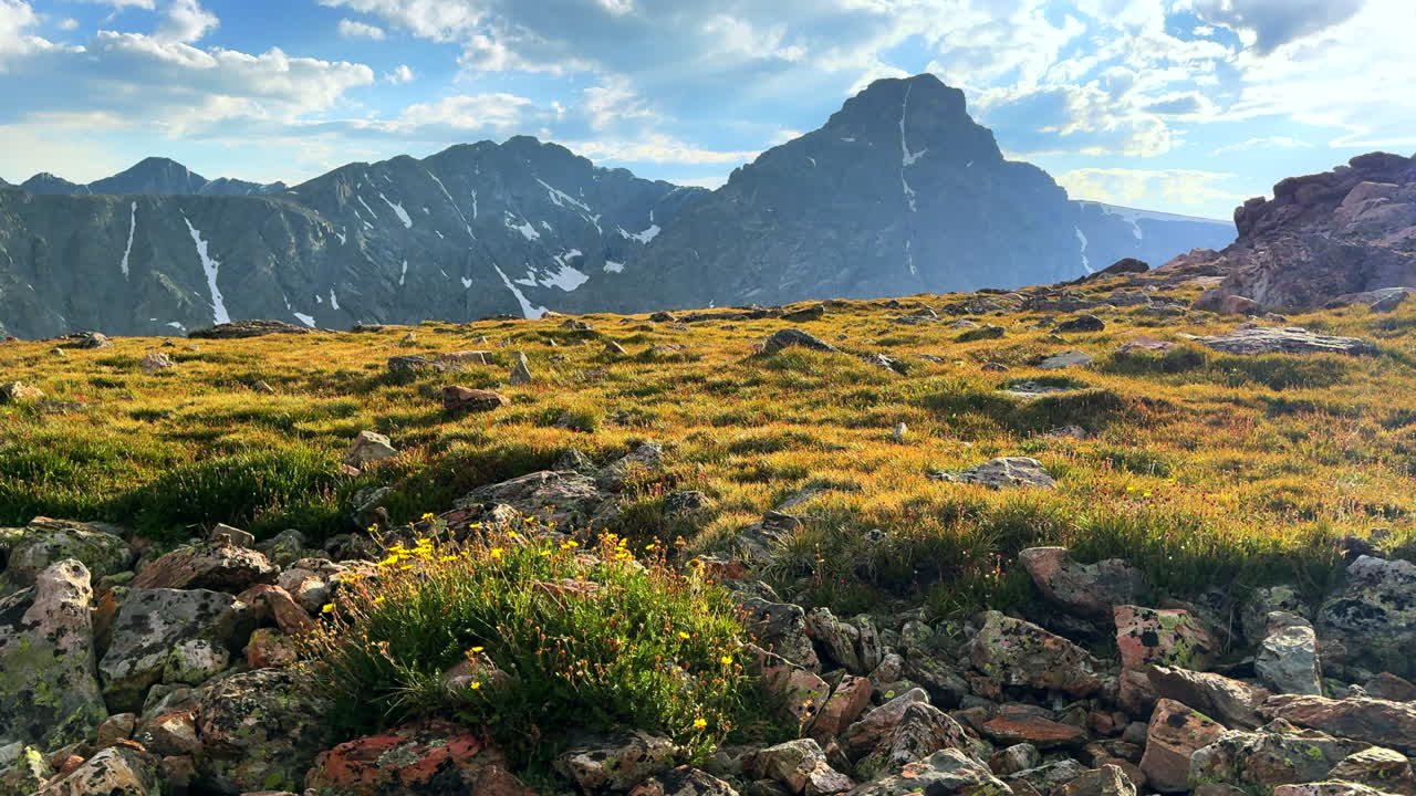 Mount of the Holy Cross 14er gula vildblommor sommareftermiddag Rocky Mountain Sawatch Range Peak Colorado Alpine backcountry landscape Notch Mountain Shelter Halo Ridge trail moln statisk bild