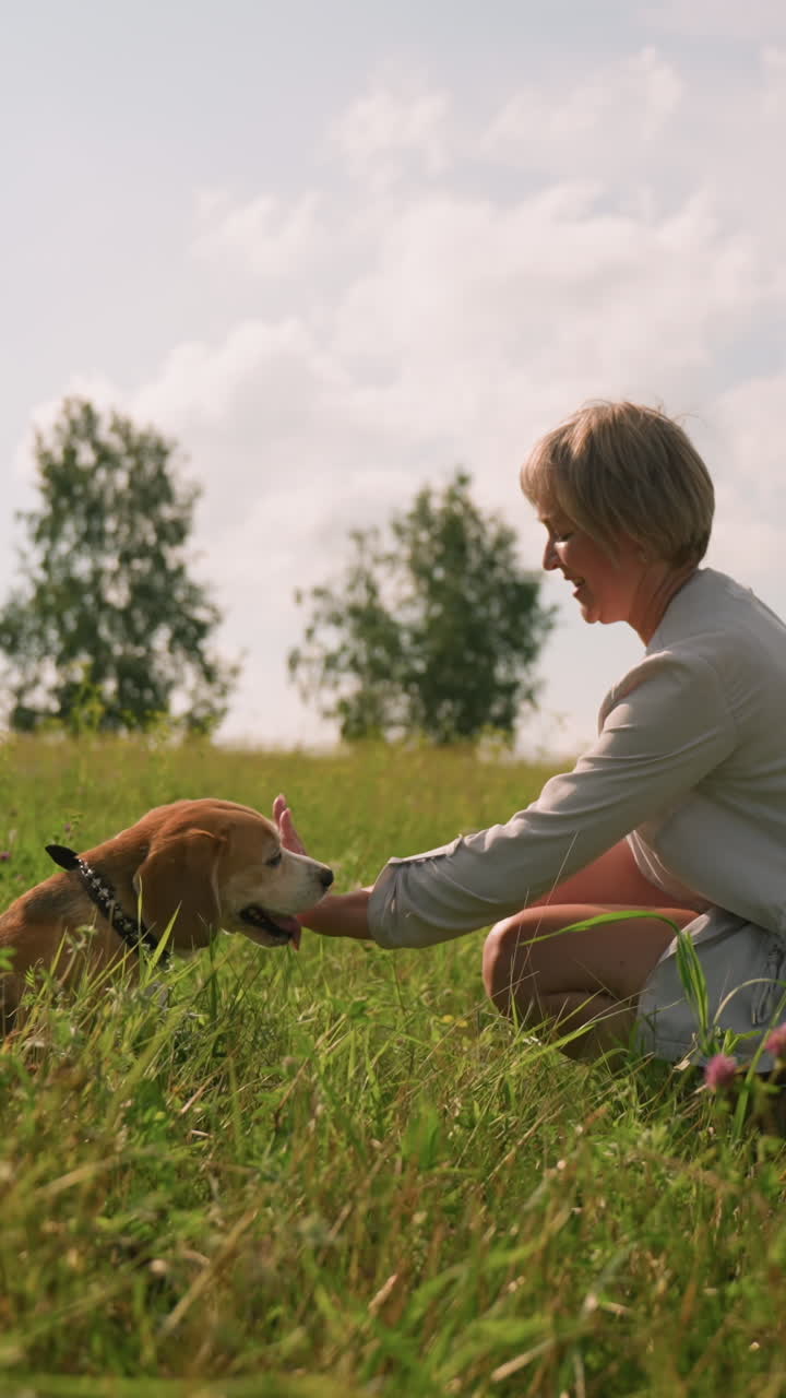 개 주인이 은 날 잔디에 앉아있는 동안 개 손을 흔들고, 개는 혀를 내밀고, 상호 작용을 즐기고, 밝은 초록색과 은 하늘로 멀리 있는 나무