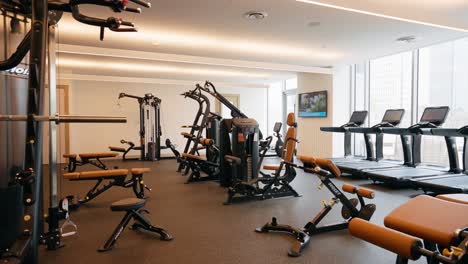 a glimpse of a well-equipped fitness center featuring cable machines and rows of treadmills, ready for workouts