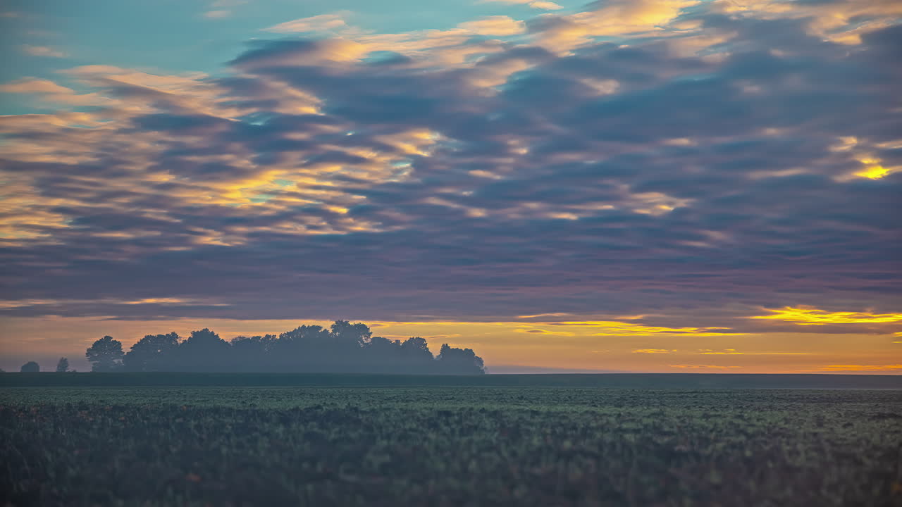 nubes altocúmulos que fluyen por el cielo durante un amanecer dorado con un bosquecillo de árboles en el horizonte - lapso de tiempo