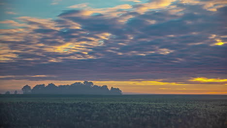 Altocumulus-Wolken,-Die-Während-Eines-Goldenen-Sonnenaufgangs-Mit-Einem-Wäldchen-Am-Horizont-über-Den-Himmel-Strömen---Zeitraffer