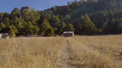 Impresionante-Cabaña-En-El-Valle-De-Chihuahua-Con-Frondosos-Bosques-Al-Fondo