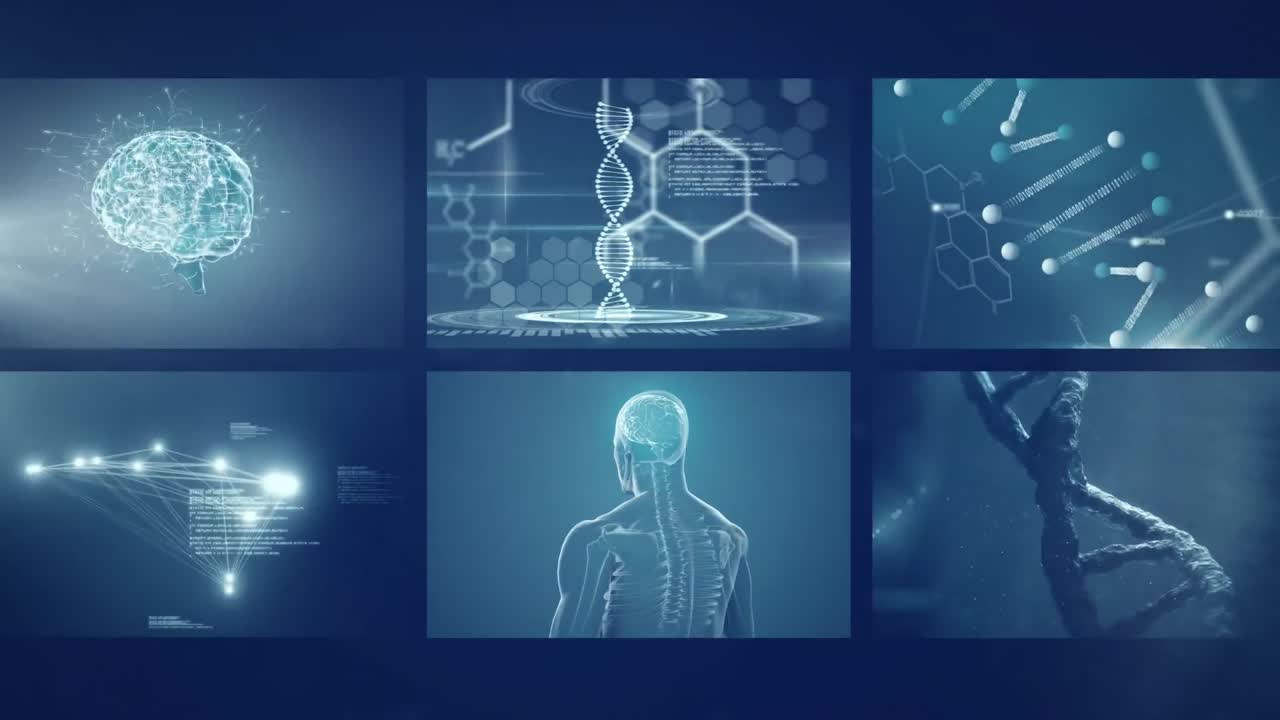 Digitally generated video of medical data processing