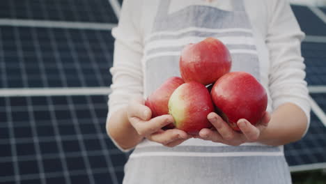 Ein-Bauer-Hält-Mehrere-Rote-Äpfel-In-Seinen-Händen-Vor-Dem-Hintergrund-Von-Sonnenkollektoren-Hinter-Ihm