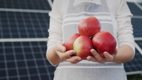 un agricultor sostiene varias manzanas rojas en sus manos contra el telón de fondo de paneles solares detrás de él