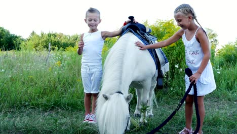 children, a boy and a girl of seven years, stroking a white pony. cheerful, happy family vacation. outdoors, in the summer, near the forest