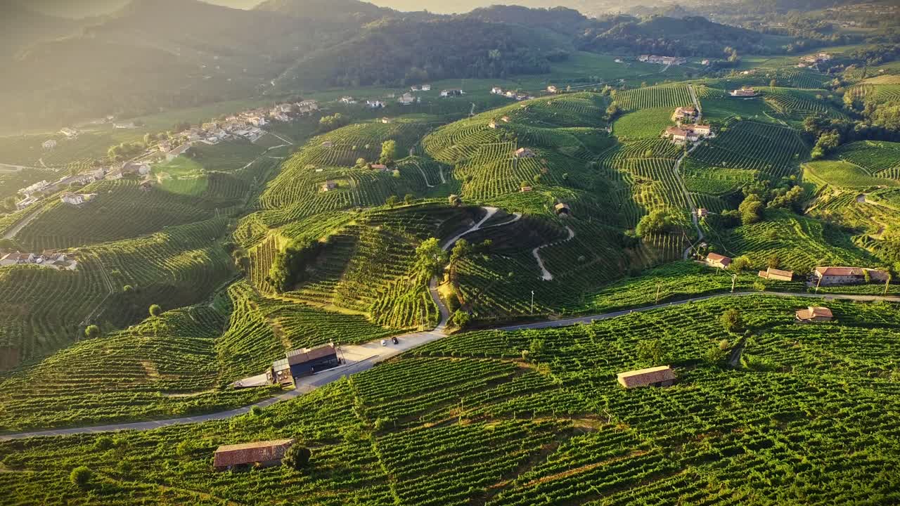 Ampia veduta aerea delle colline del Prosecco a Valdobbiadene, regione vinicola italiana, ripresa con drone.
