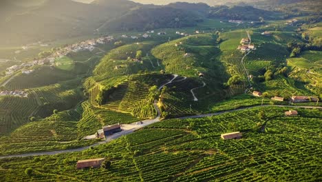 Aerial-view-wide-of-the-Prosecco-hills-in-Valdobbiadene,-Italian-wine-region-with-drone