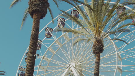 Riesenrad-Und-Palmen-Im-Blauen-Himmel