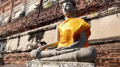 buddha statue with yellow robe in ayutthaya