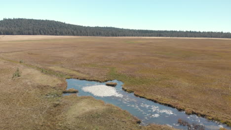 aerial slow flying backwards over a meadow and a small pond, with the suns reflection