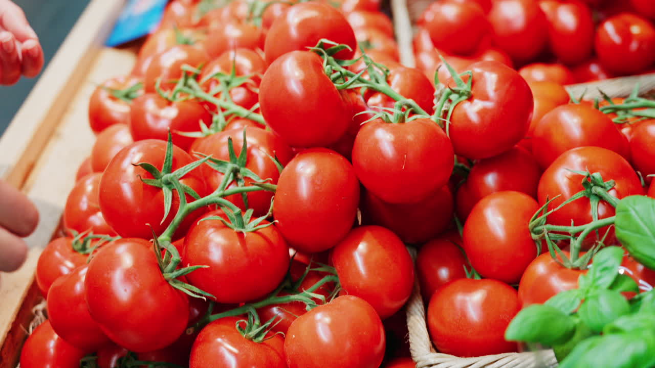 Close up of a woman's hand picking tomatoes at a market