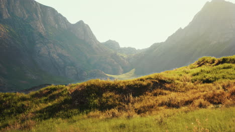 vistas a las montañas
