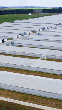 prefabricated farm building in a green field. many industrial buildings in rural area. view from above on white roofs of poltry farm. vertical video