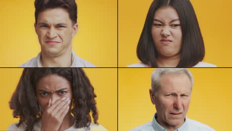 Disgust Expressions