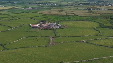circle aerial orbit right over cornwall farm fields and green rural landscape with bright sunshine, panoramic establishing