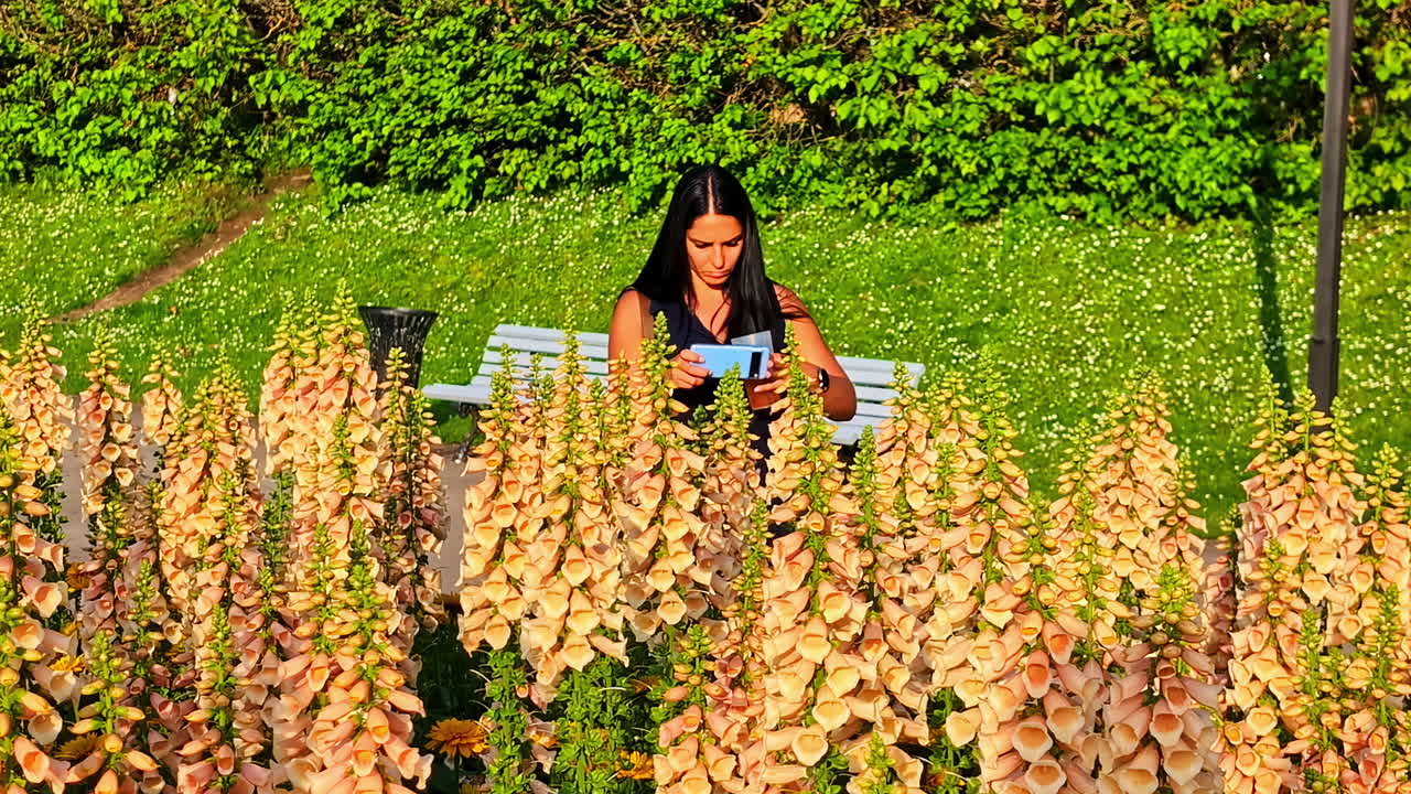 Woman photographing bright flowers in a sunny park using camera from low angle
