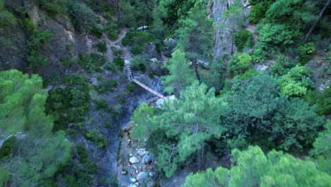 Wooden-aerial-walkway-in-the-forest