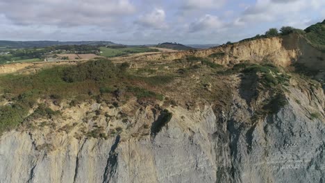 cliffs at charmouth