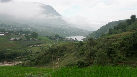 hillside landscape view of sapa, vietnam, featuring green terraced farm fields, misty mountains, and view of rural farming village